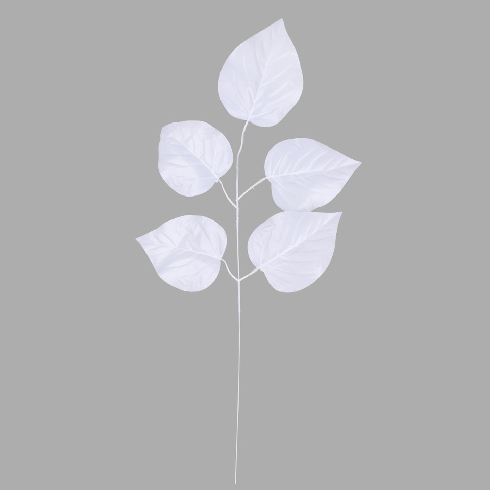 Linden, White F162-03