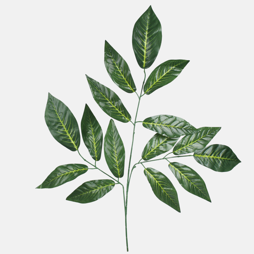 Nut, Green F238-01