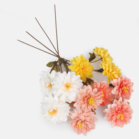 Dahlia, Peach G481-04