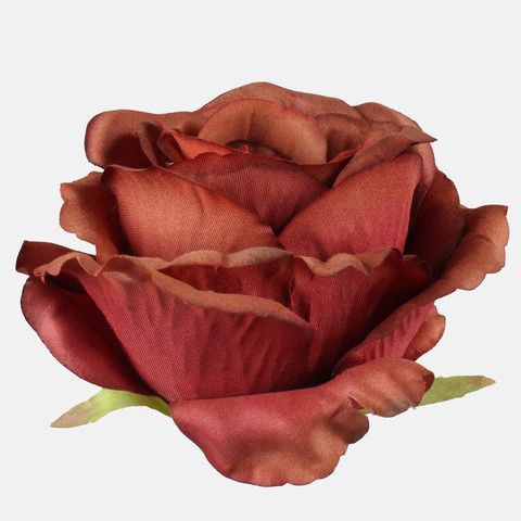 Rose, Brown W697-26