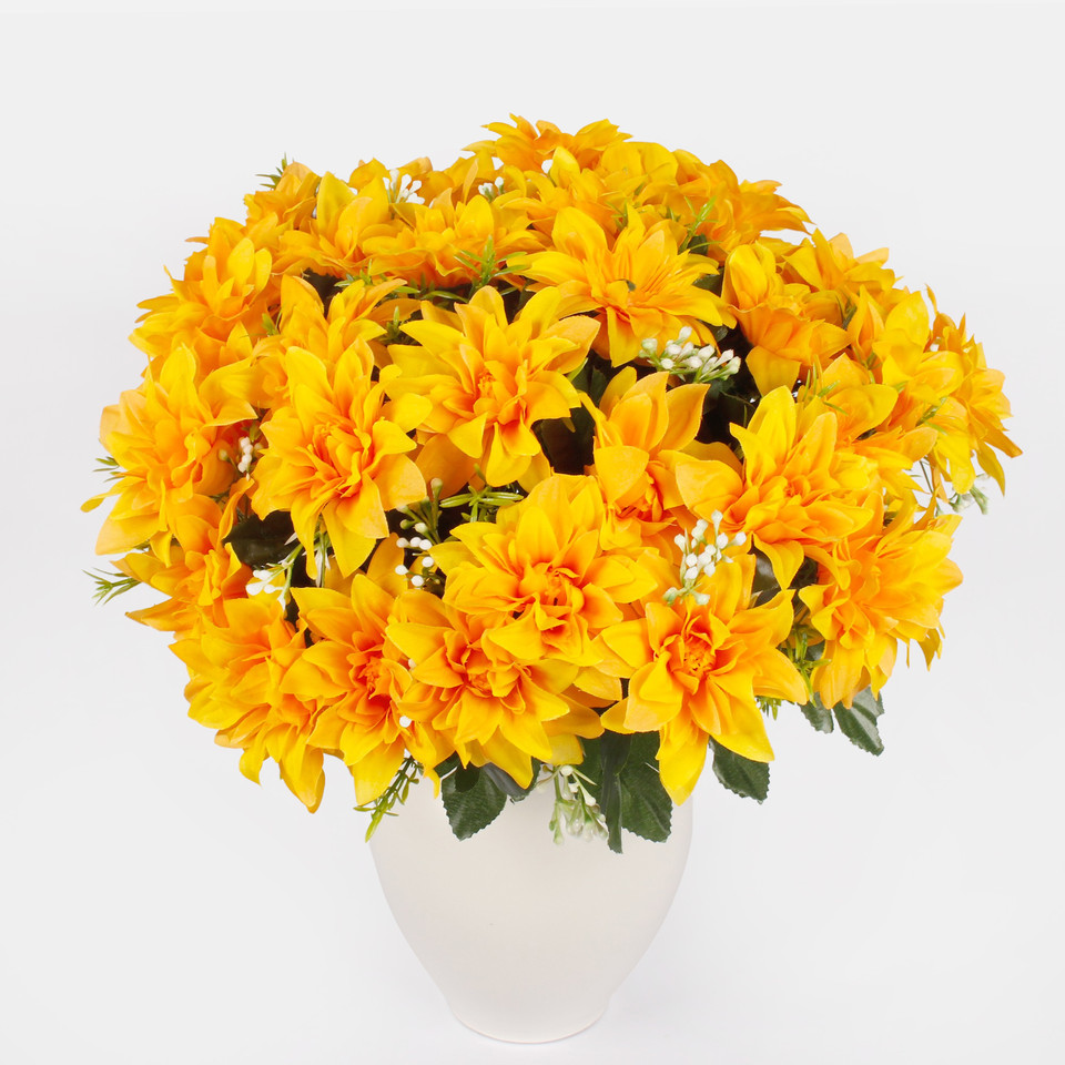 Dahlia x 36, Mix 1 QA083-01