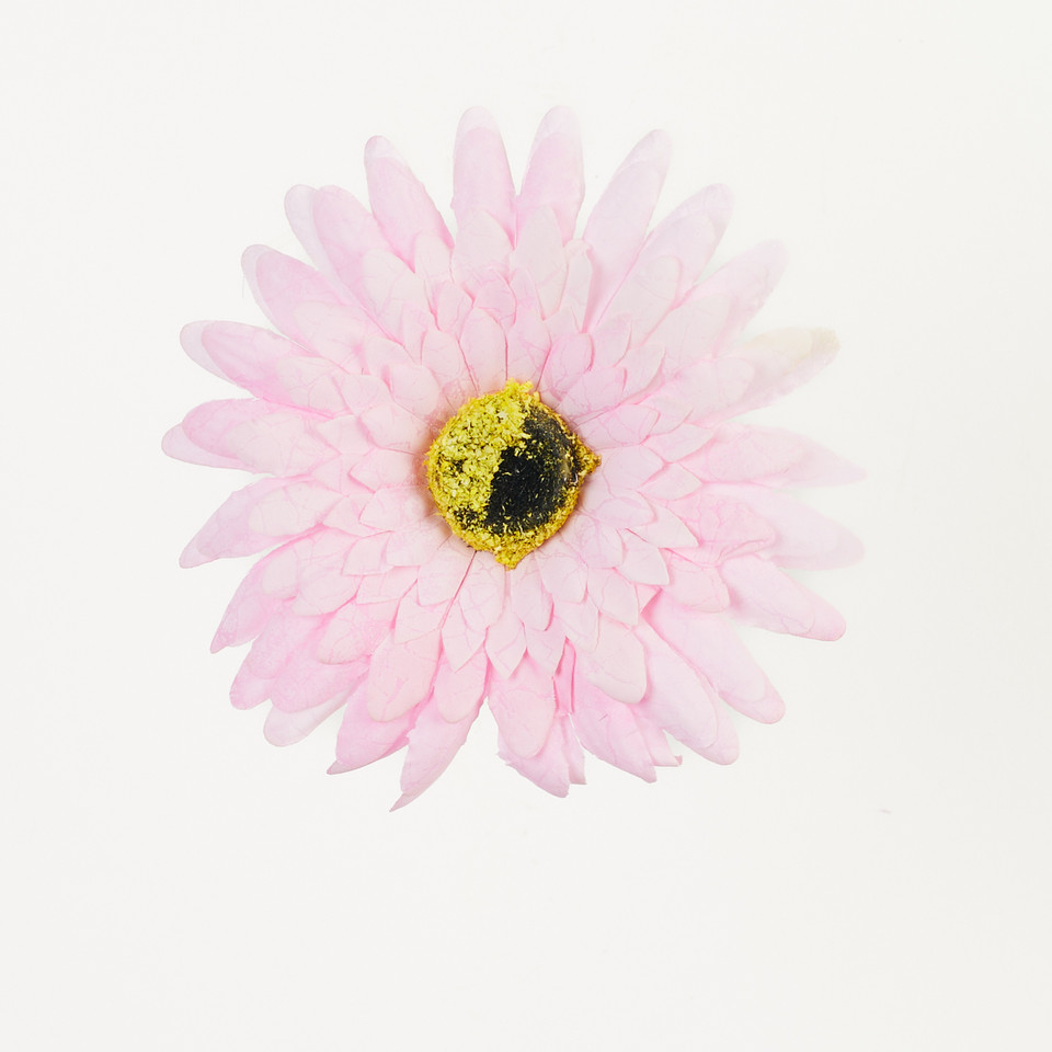 Gerbera – główka drukowana, pink B75-03