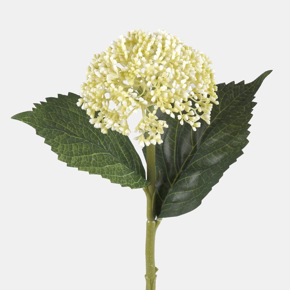 Hydrangea, White/Lt. Green G459-02