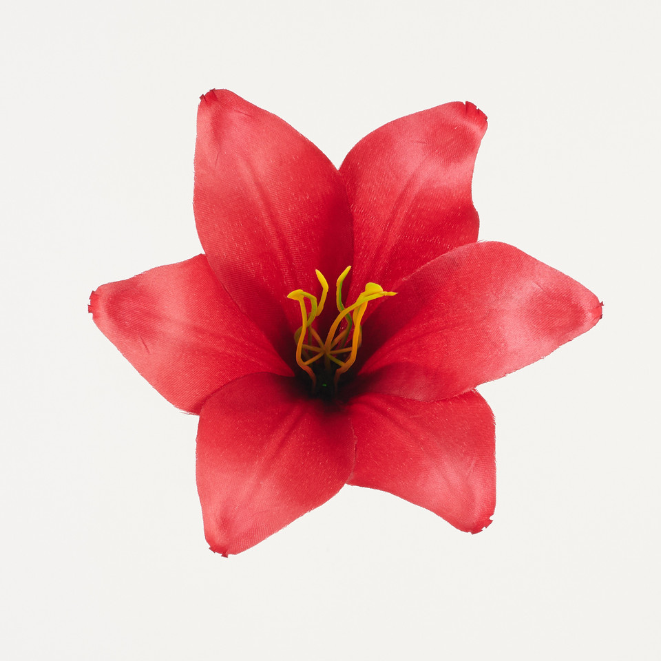 Lilia – główka satyna, heavy red B276-017