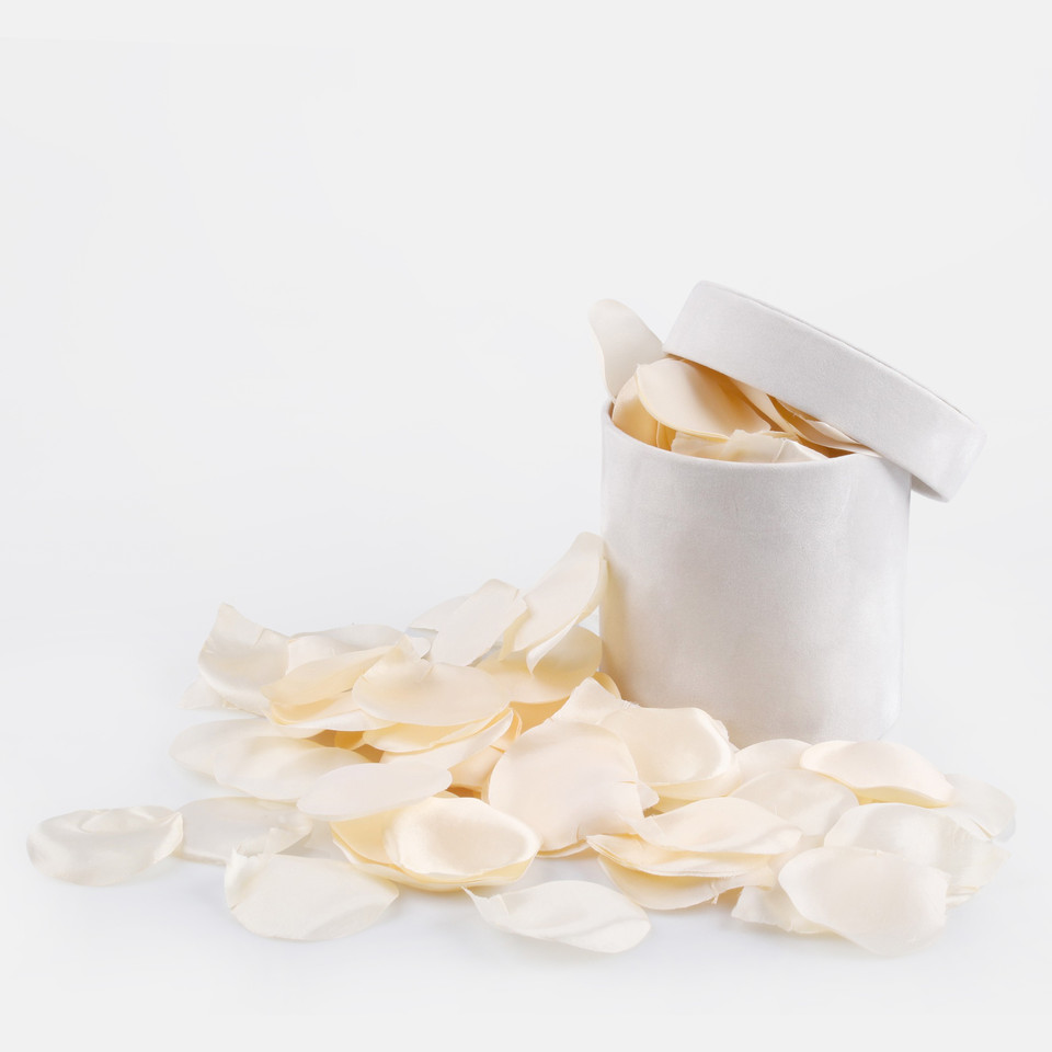 Płatki róż x 100 szt., Cream A566-02