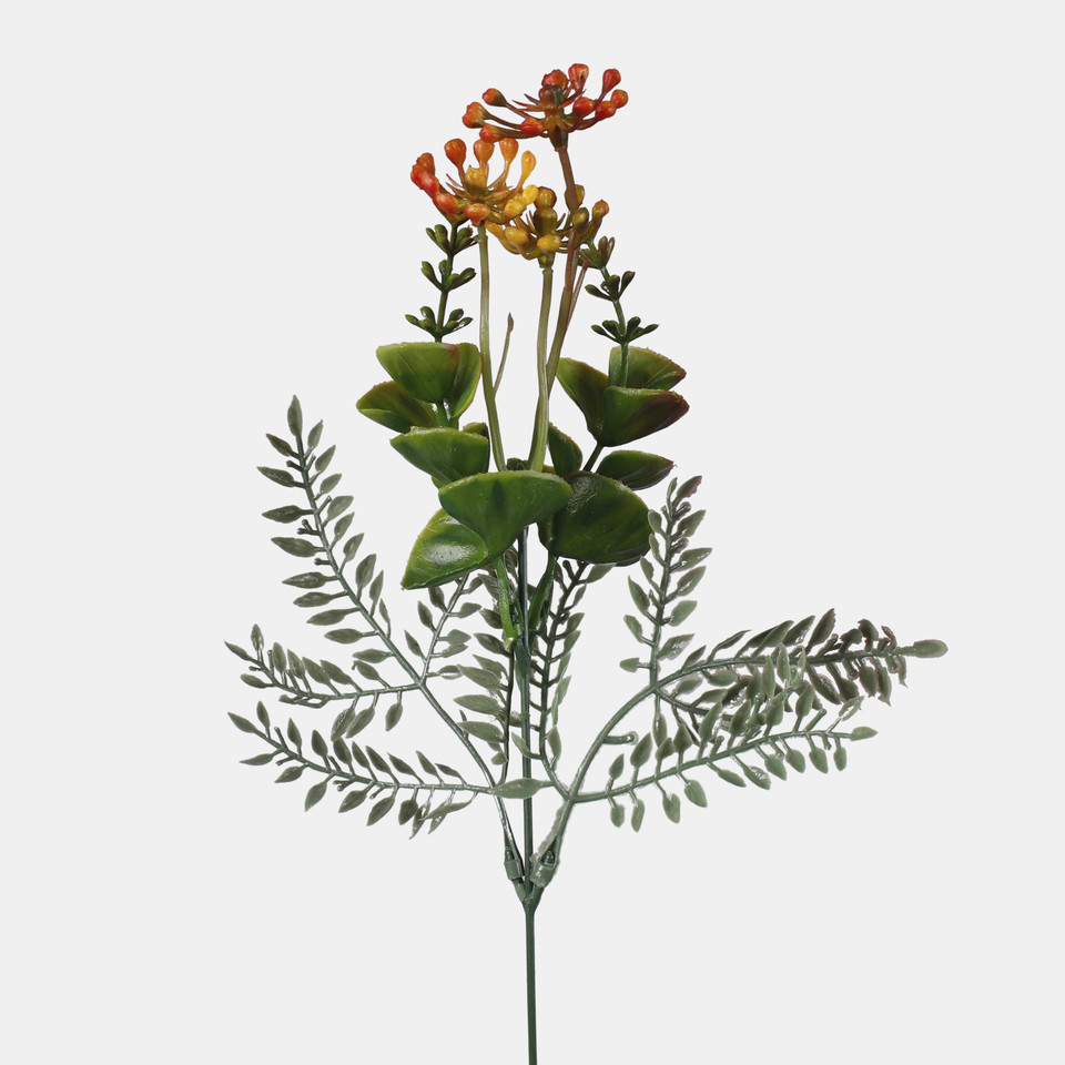 Honeysuckle, Mix 1 A787-05