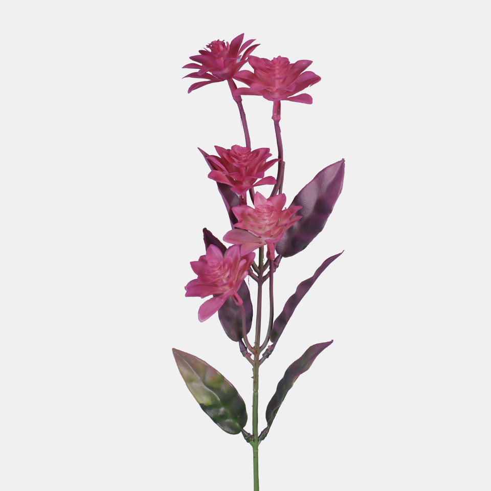 Dahlia mini, Pink G445-01