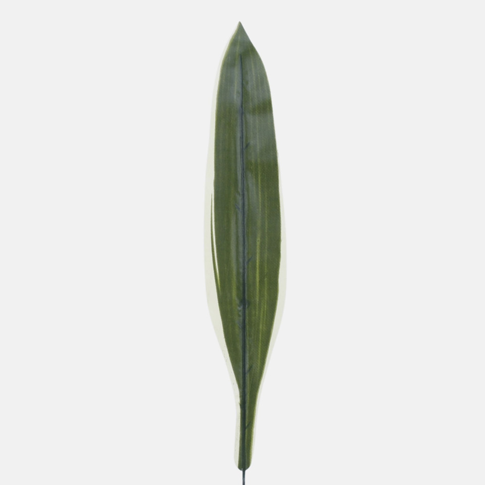 Liść draceny, Green/Yellow H010B-04