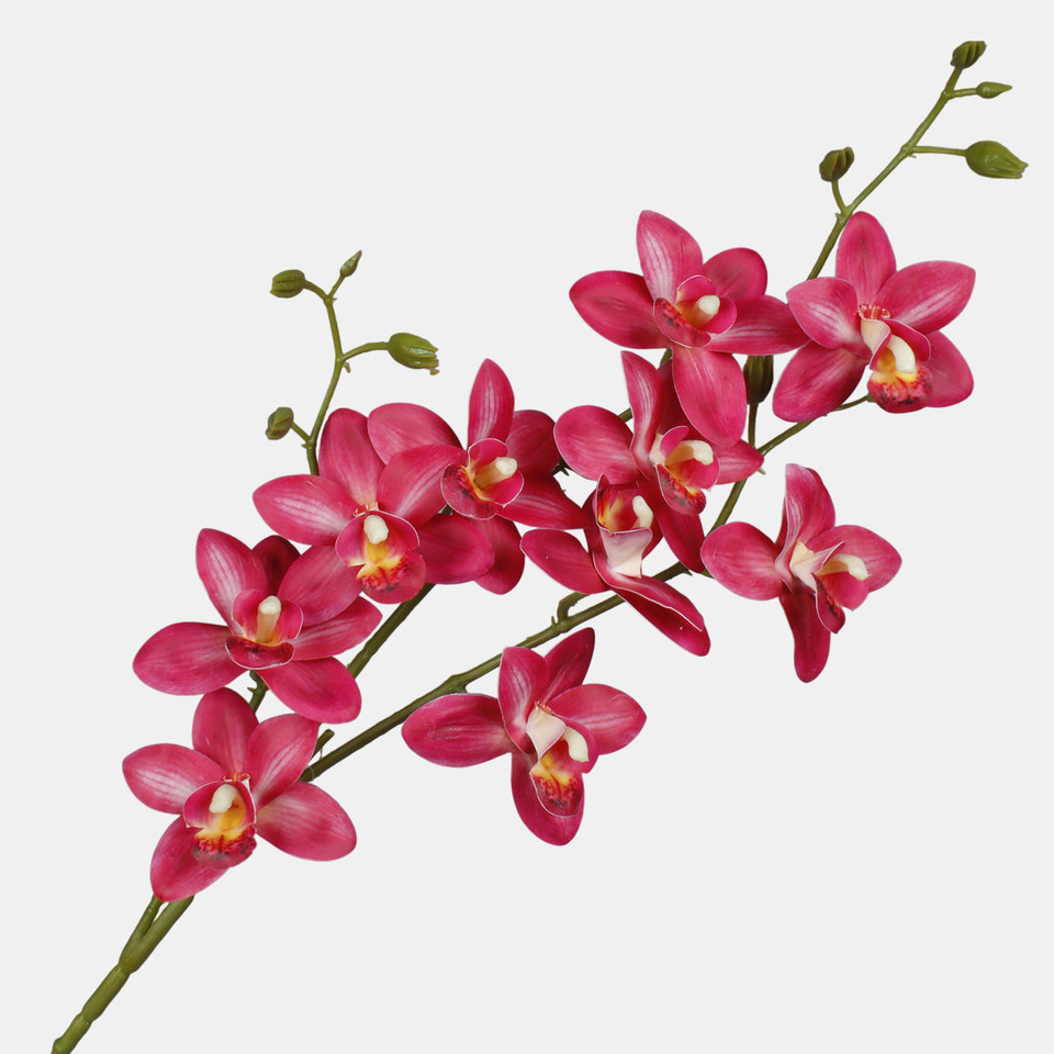 Orchid, Pink L803L-02
