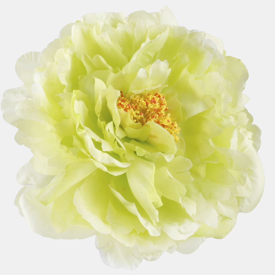 Peonia, Lt. Green W615-13