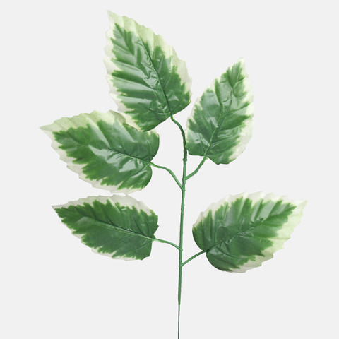 Alder spray F210