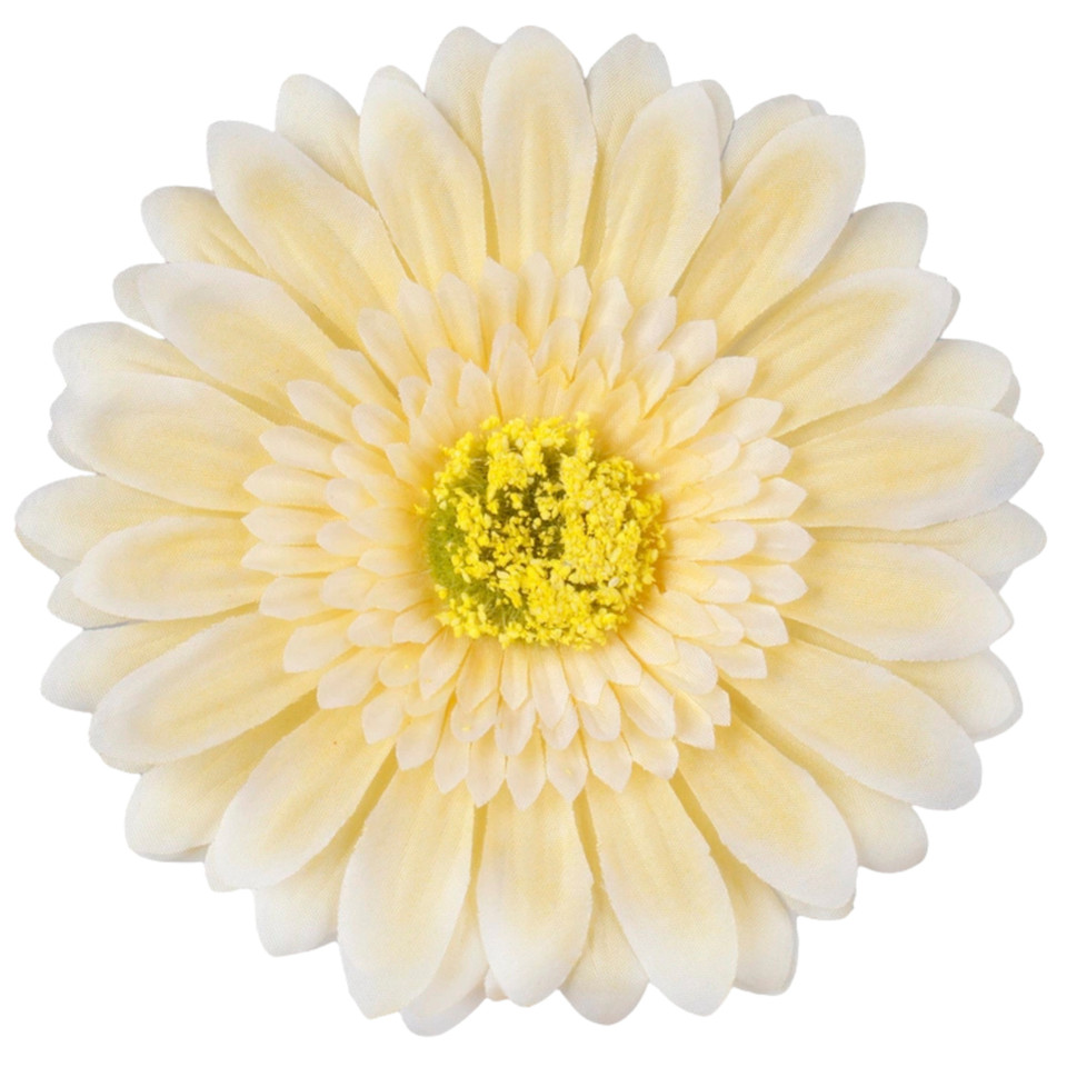 Gerber - główka 15 cm, cream/white W189-15