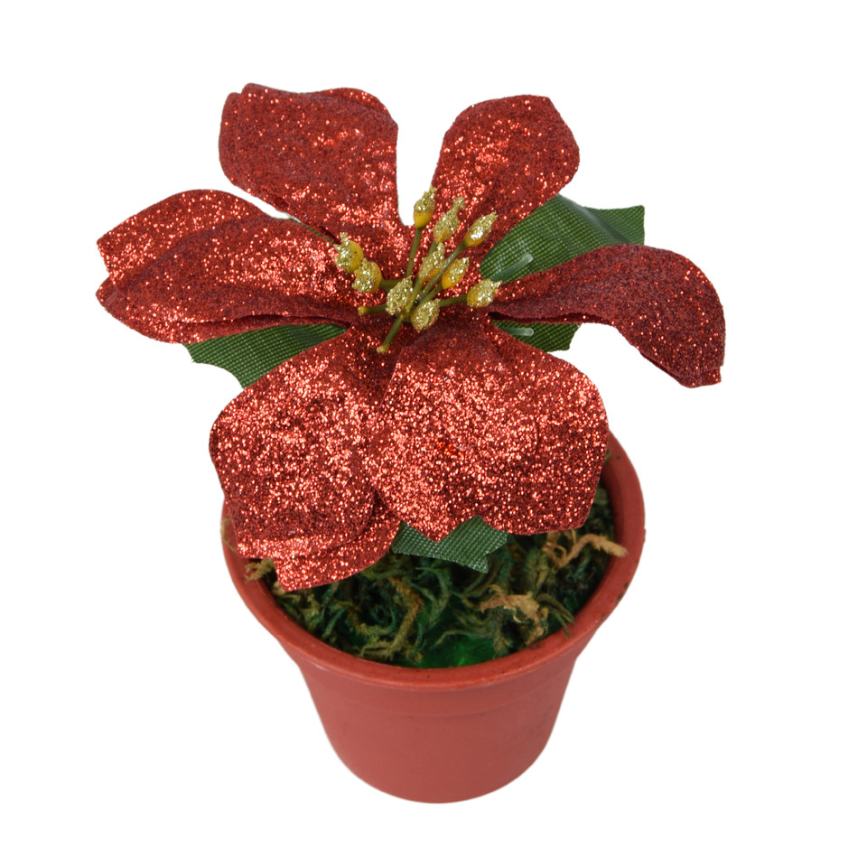 Poinsecja w doniczce 15 cm, white, silver, red, gold X313-00