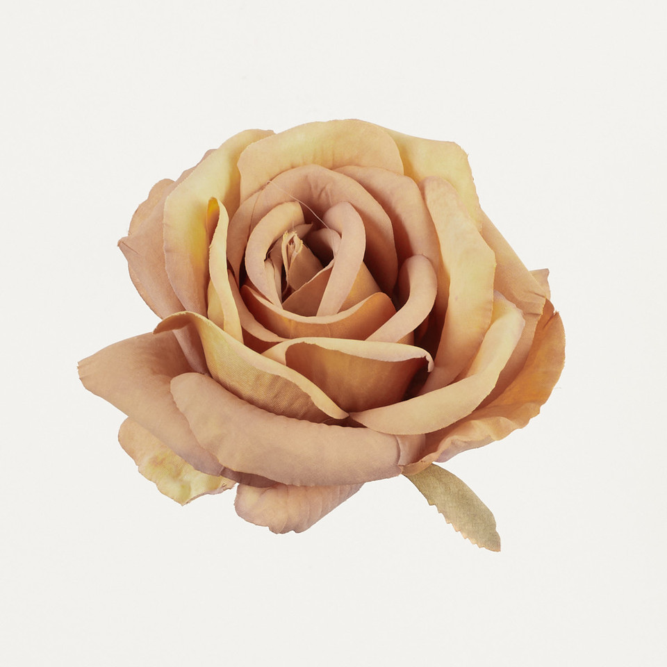 Róża, Lt. Yellow/Beige B70-11