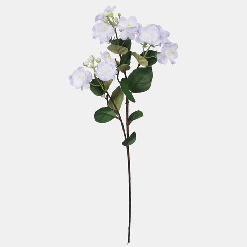 Jasmine, Lilac G479-05