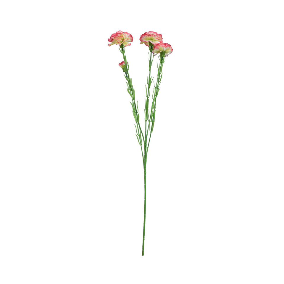 Goździk - gałązka 60 cm, m3 GK139-m3