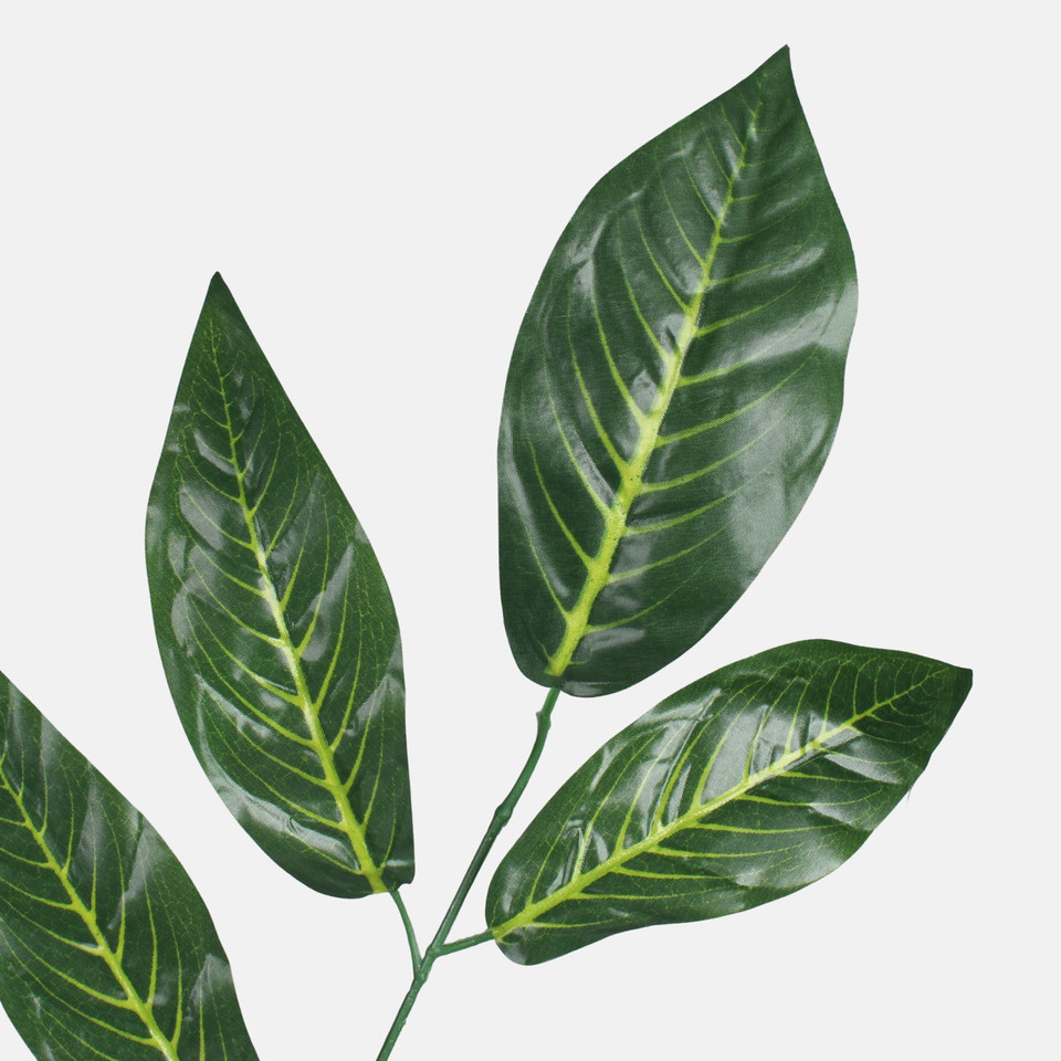 Nut, Green F238-01