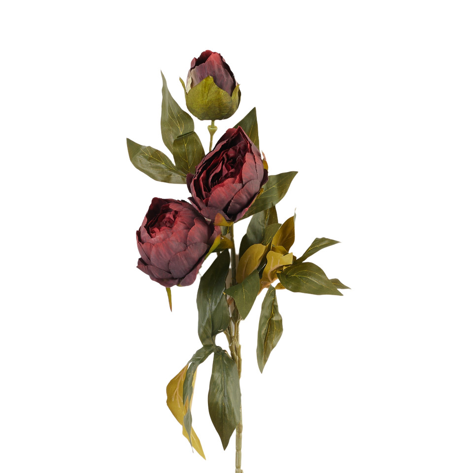 Peonia – gałązka x3, 37 B38-37