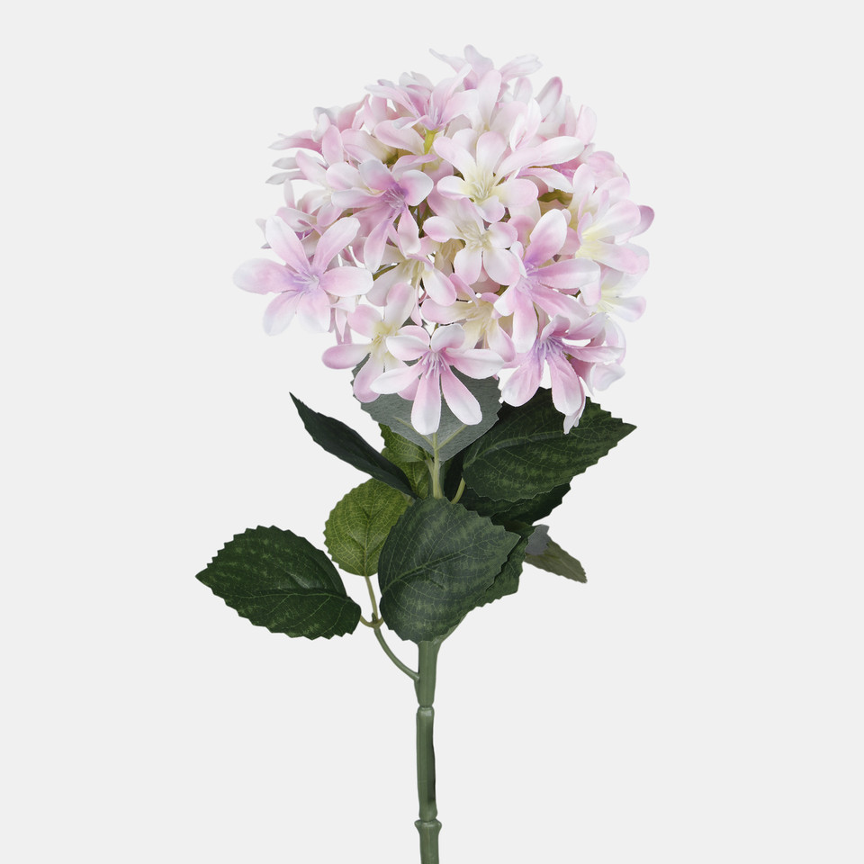 Hydrangea, Pink L902-03