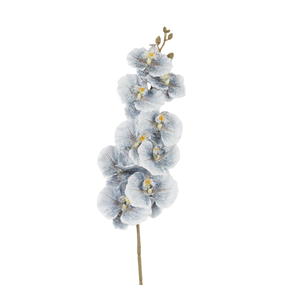 Storczyk – gałązka, 08 B40-08