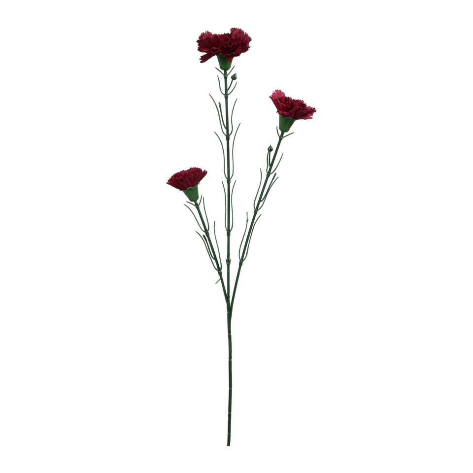 Goździk - gałązka 60 cm, m3 GK149-m3