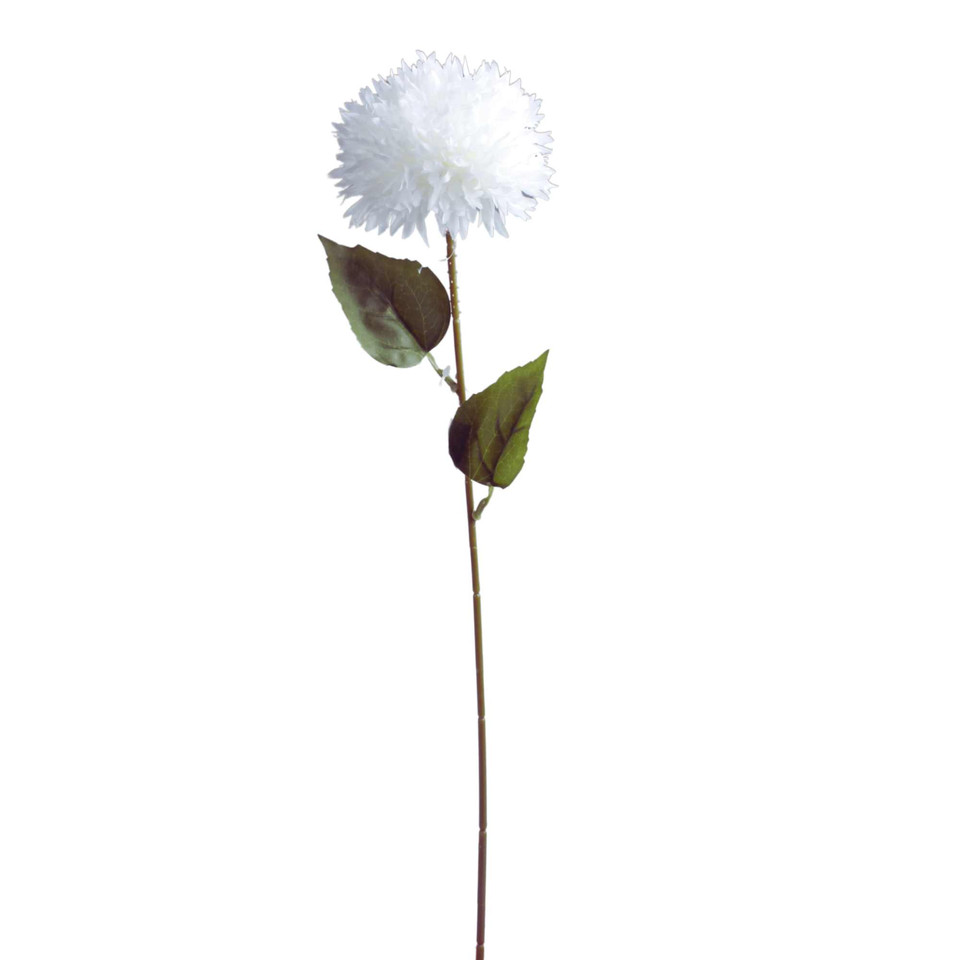 Czosnek - gałązka 53 cm, white K612-03