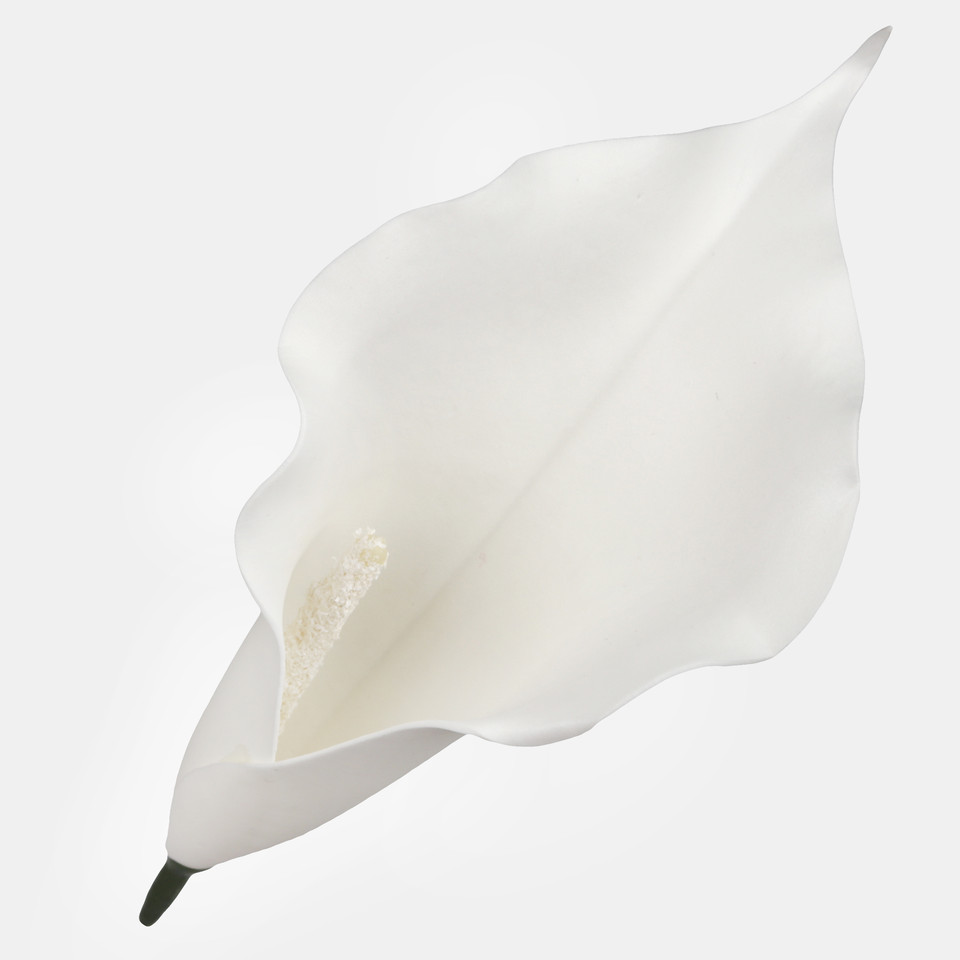 Calla, Pure White W713-11