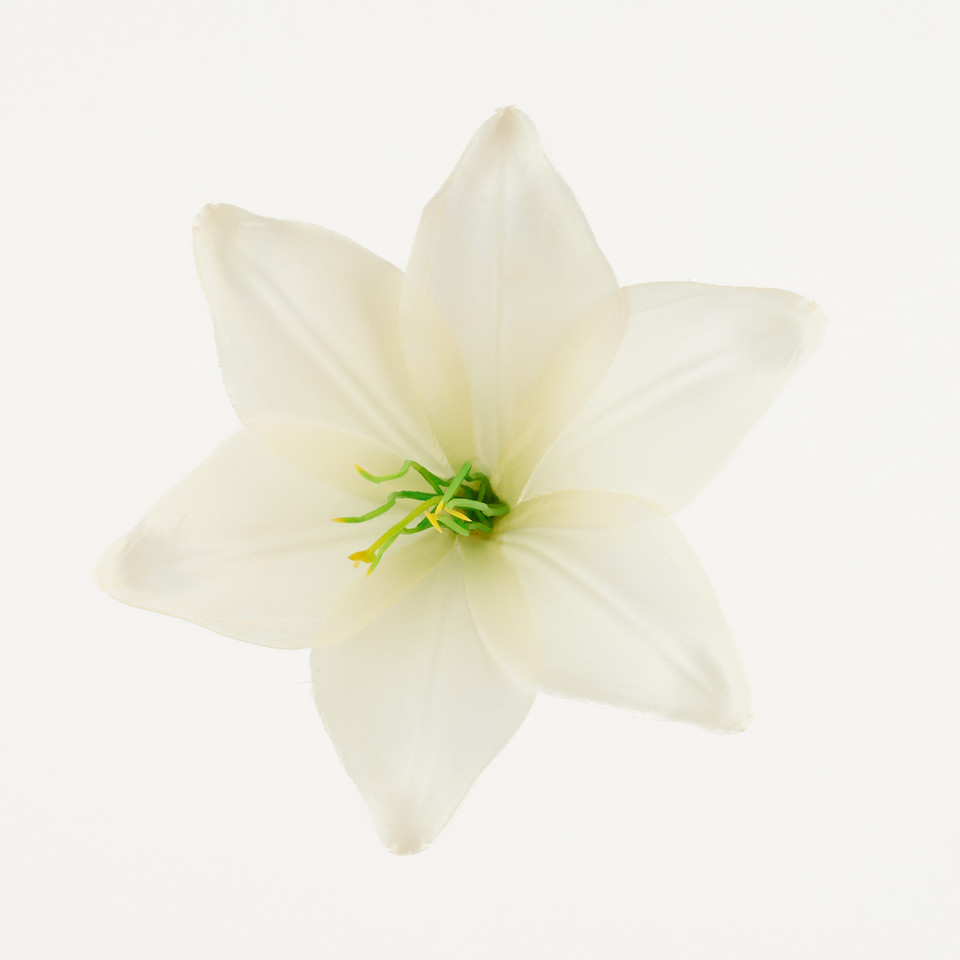 Lilia – główka satyna, warm cream B276-003