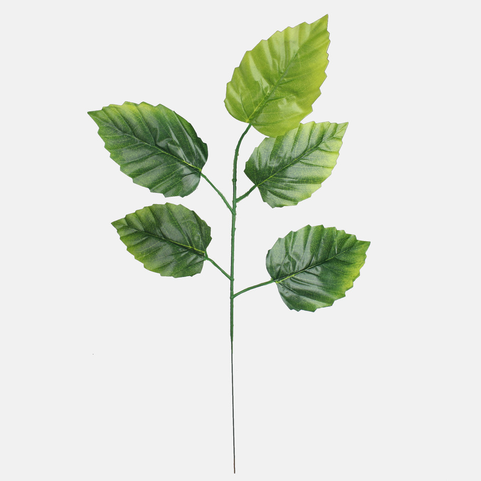 Alder, T.T. Green F212-01