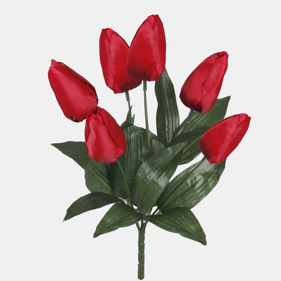 Tulipan x 6, Red QA402-04