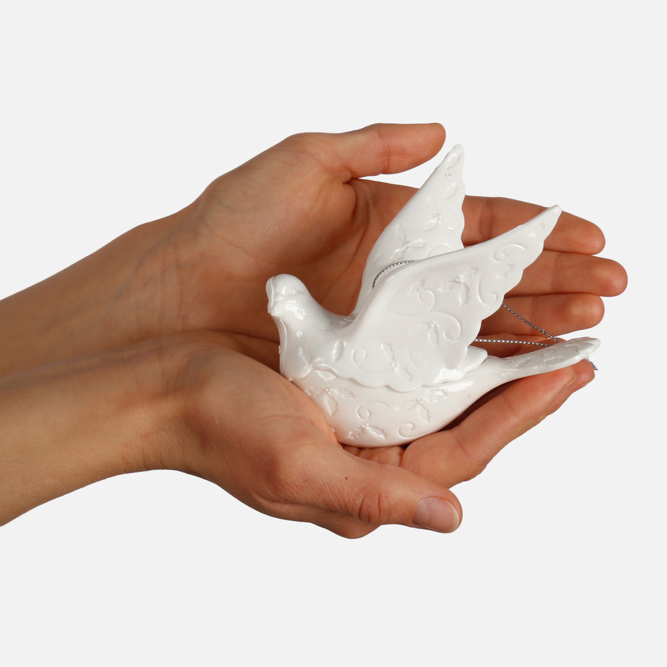 Pigeon, White AN202