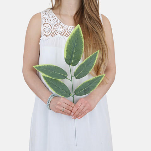 Walnut leaves A751 (Product size)