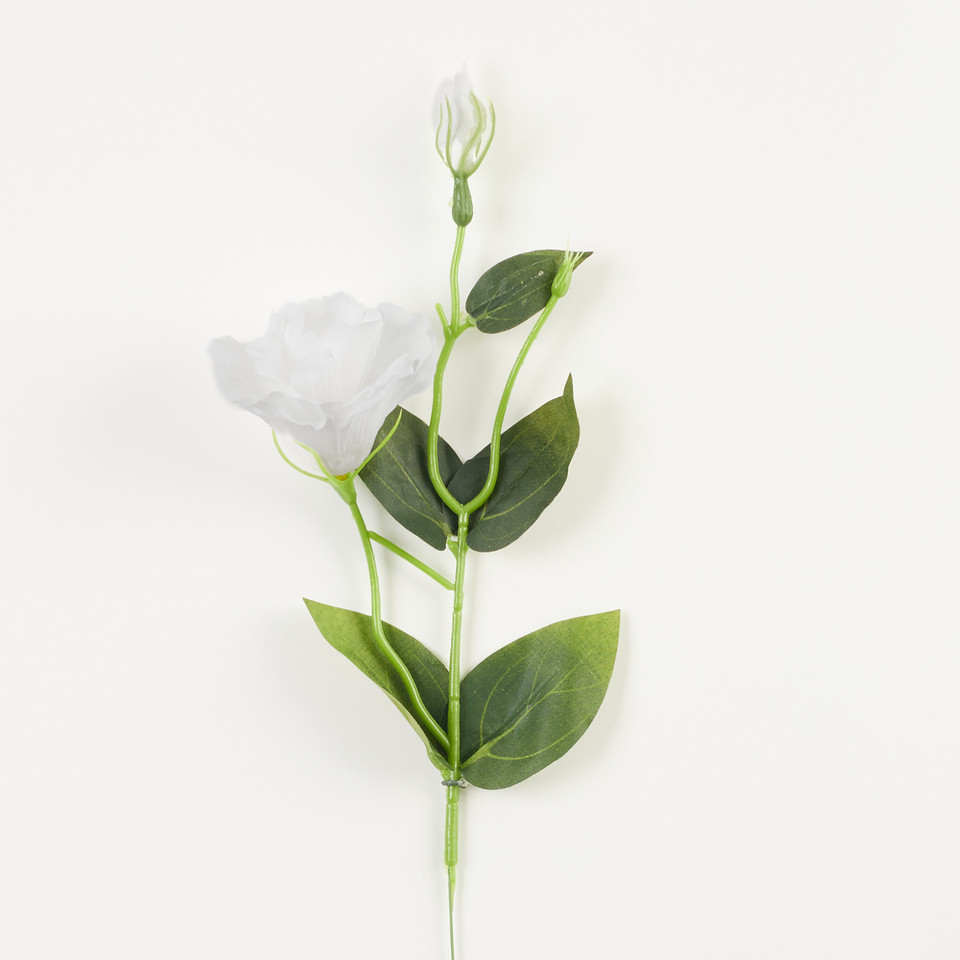 Eustoma – gałązka, white B179-06