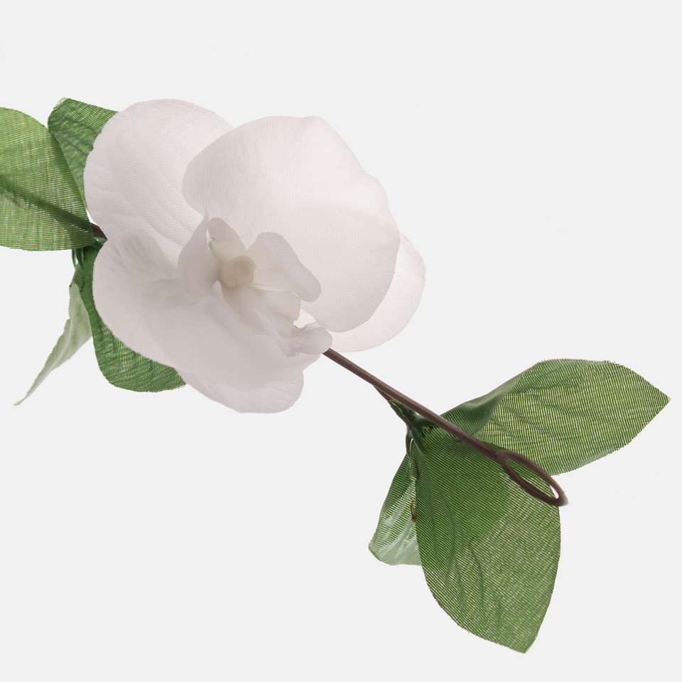 Storczyk - girlanda, White K034-01