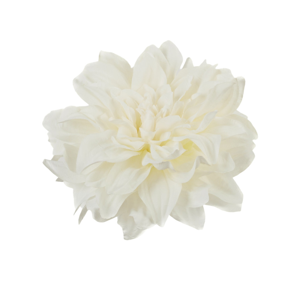 Dalia - główka, 01 white B134-01
