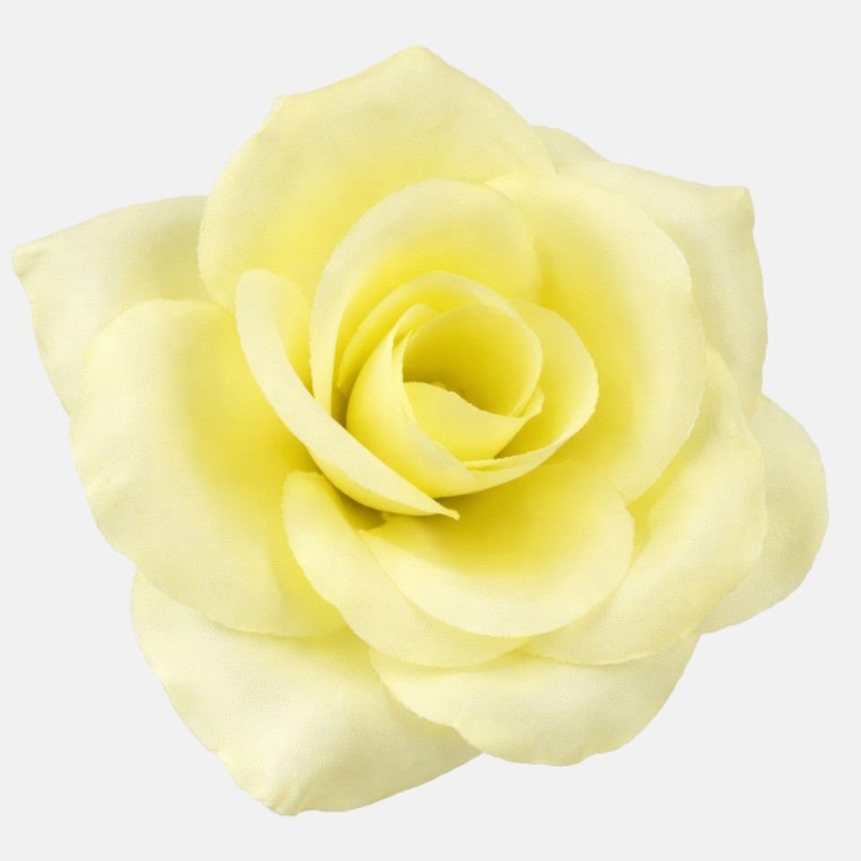 Róża, Lt. Yellow W751-05