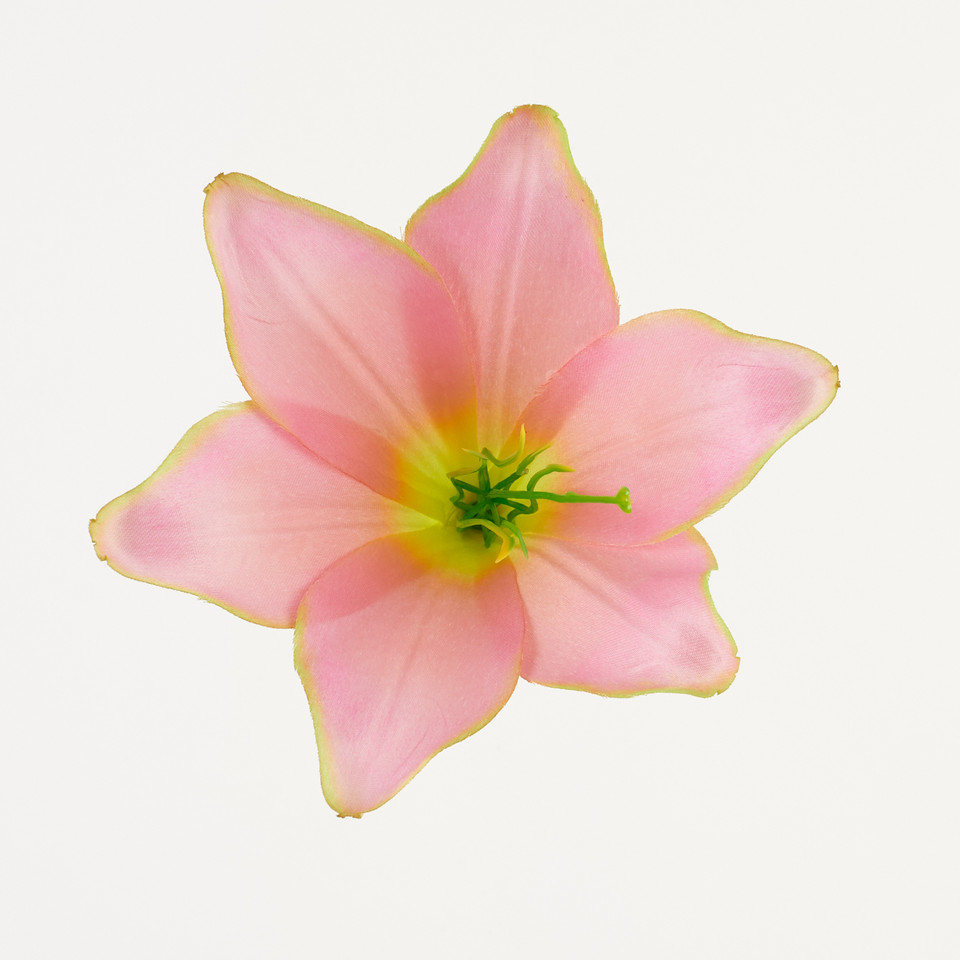 Lilia – główka satyna, pink green B276-037