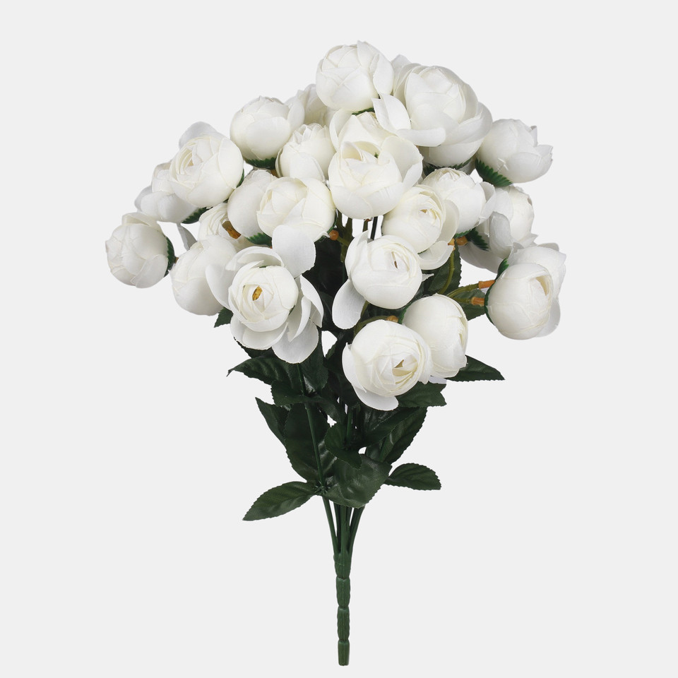 Camellia x 36, Mix 1 QA285-01