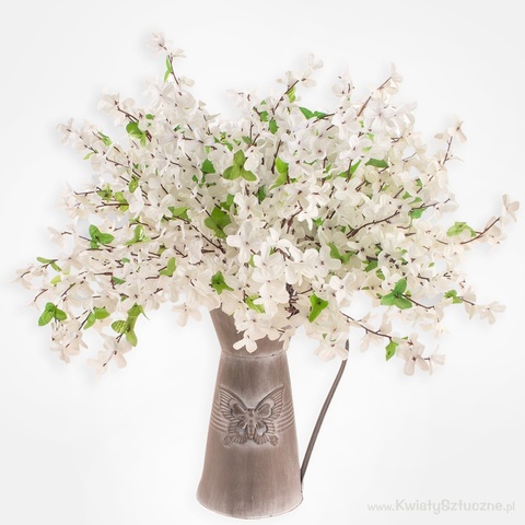 Forsythia, Cream G002A-05