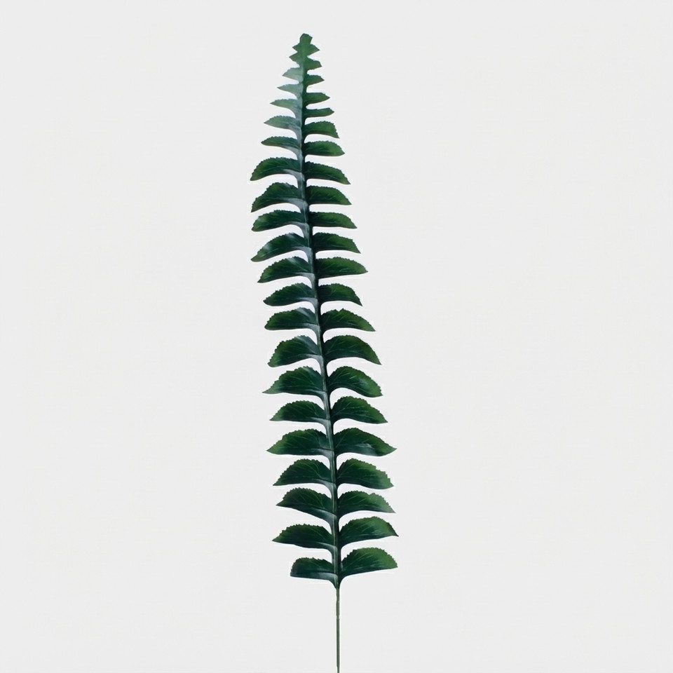 Liść paproci, Dk. Green H022B-01