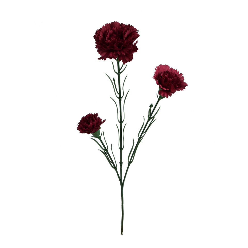 Goździk - gałązka 60 cm, m3 GK149-m3