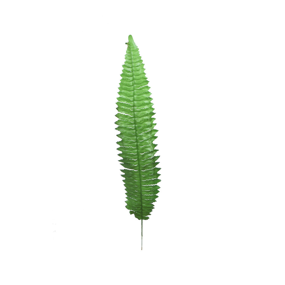 Paproć - liść  55 cm, green L214-00