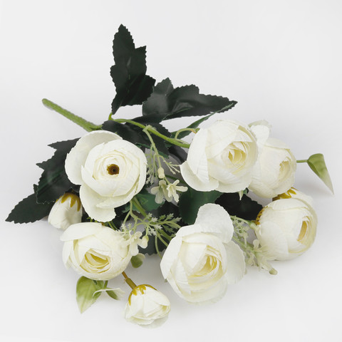 Camellia, Autumn Cream QA126-02