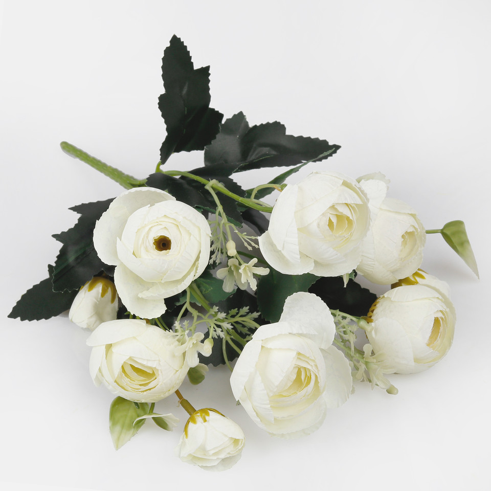 Camellia, Autumn Cream QA126-02