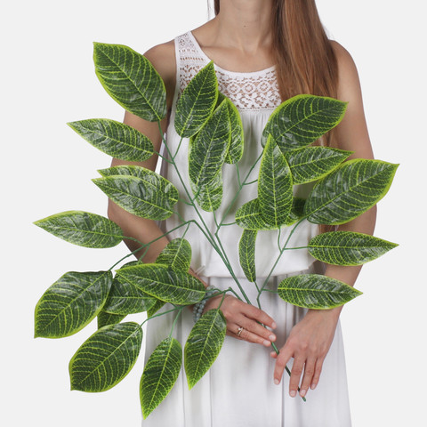 Mango F187 (Product size)