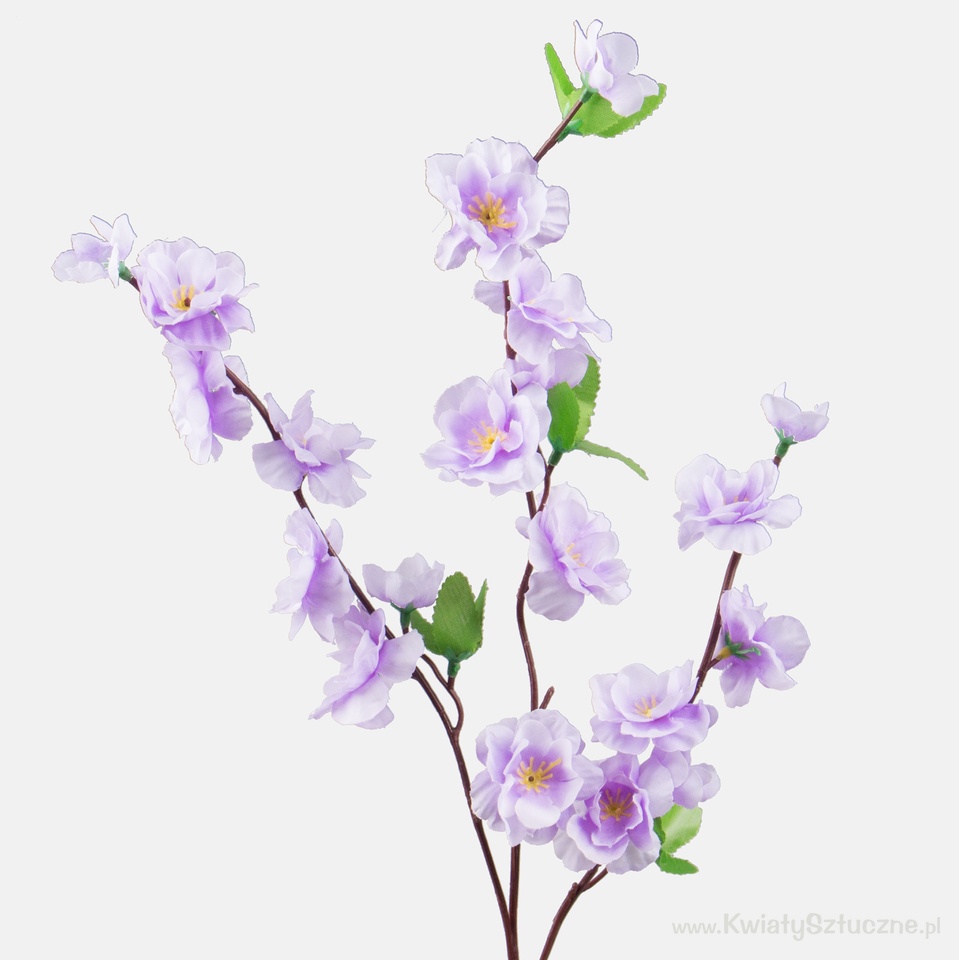 Apple tree x 3, White/Lavender L701-05