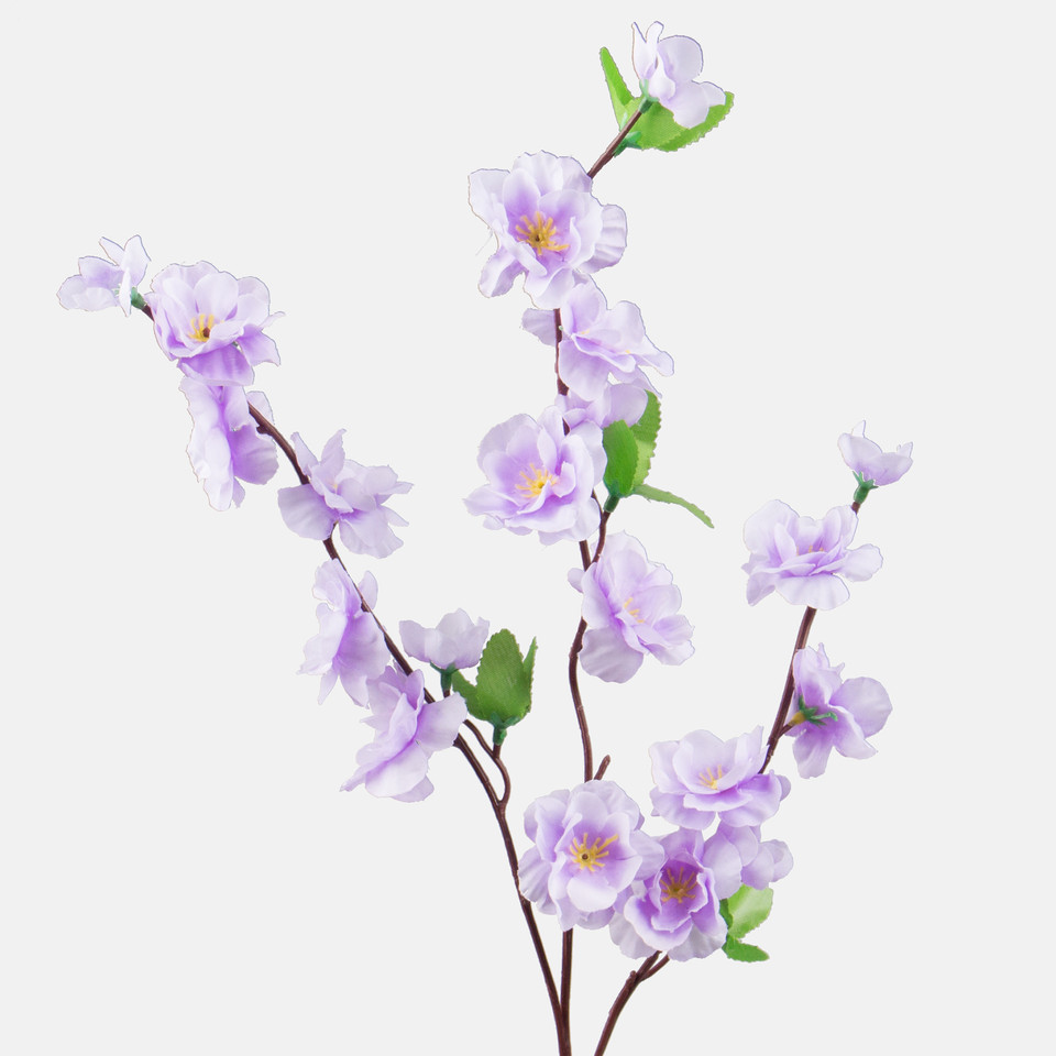Jabłoń x 3, White/Lavender L701-05