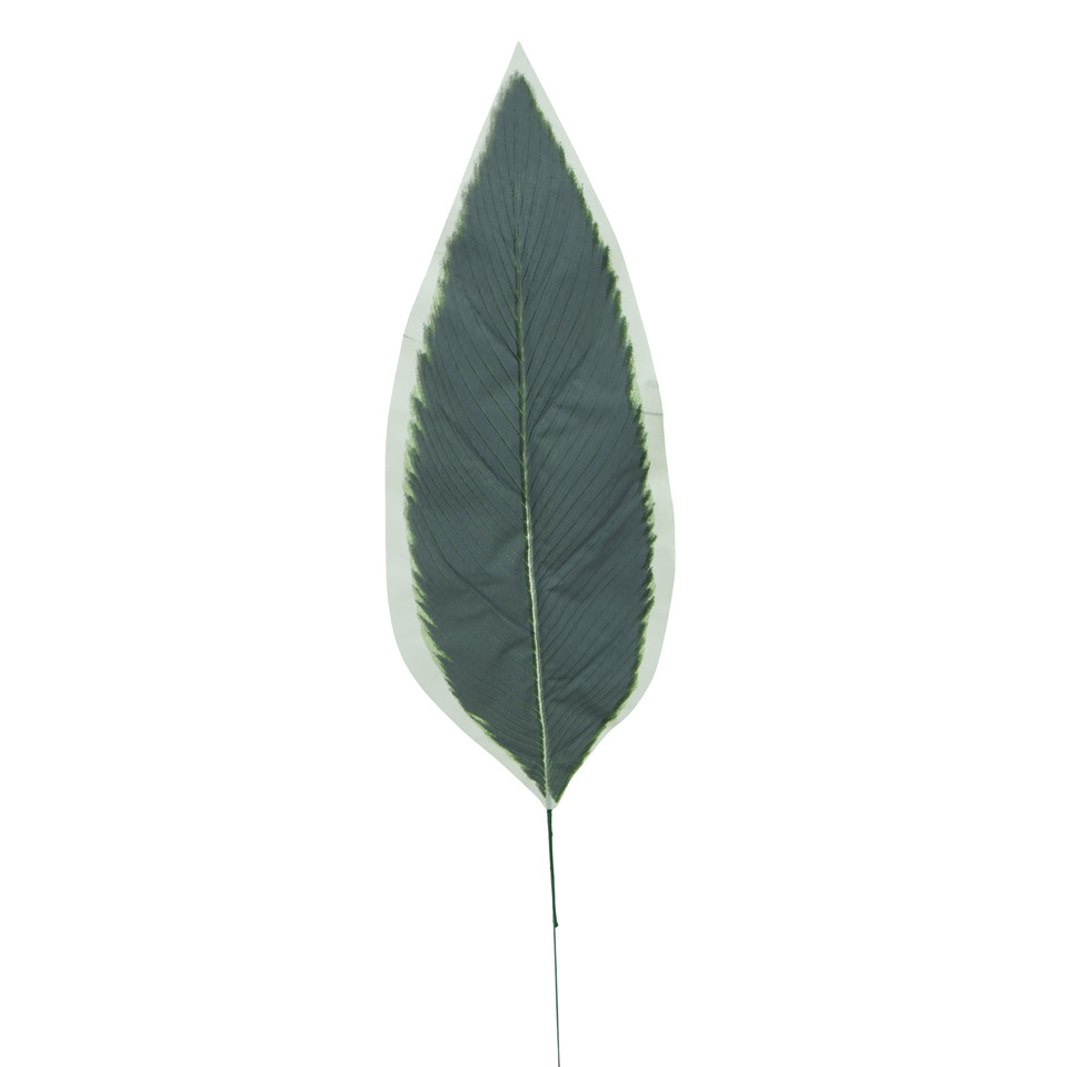 Dracena - Liść 65 cm L516-00