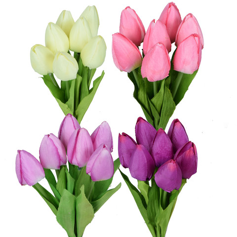 Tulipan x 7 U633