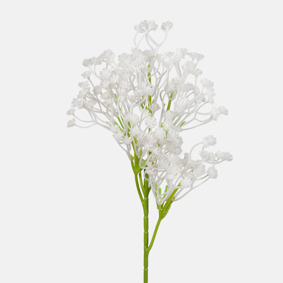 Gypsophila, White G200A-02